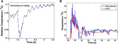 Overview of Fibre Optic Sensing Technology in the Field of Physical Ocean Observation